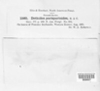 Image Associated With the Occurence